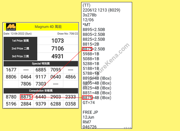Magnum 4D Result - 12 June 2022